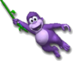 bonzi_hanging.png