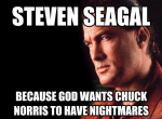 steve seagal.png