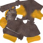 duckskin.jpg